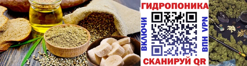 купить наркоту  Славгород  Cannafood конопля 