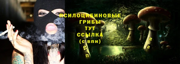 марки nbome Дмитриев