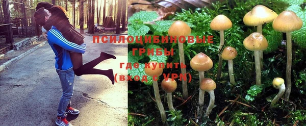 соль курить ск Ельня