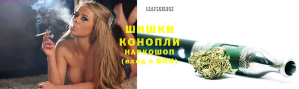 Альфа ПВП Елизово