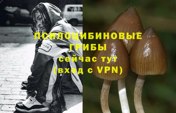 Альфа ПВП Елизово