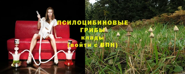 хмурый Елабуга