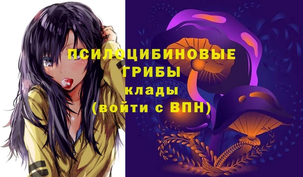 соль курить ск Ельня