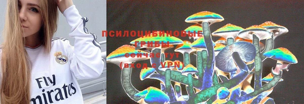 Альфа ПВП Елизово