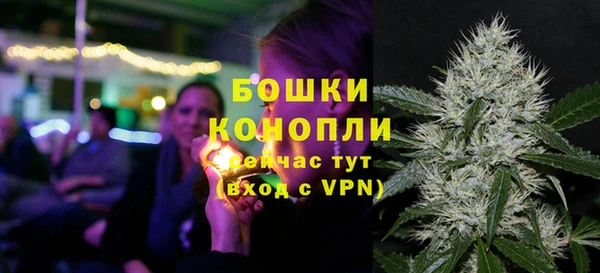 Альфа ПВП Елизово