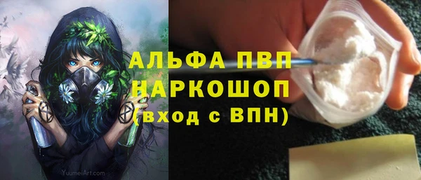 Альфа ПВП Елизово
