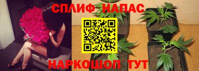 ECSTASY Дубна
