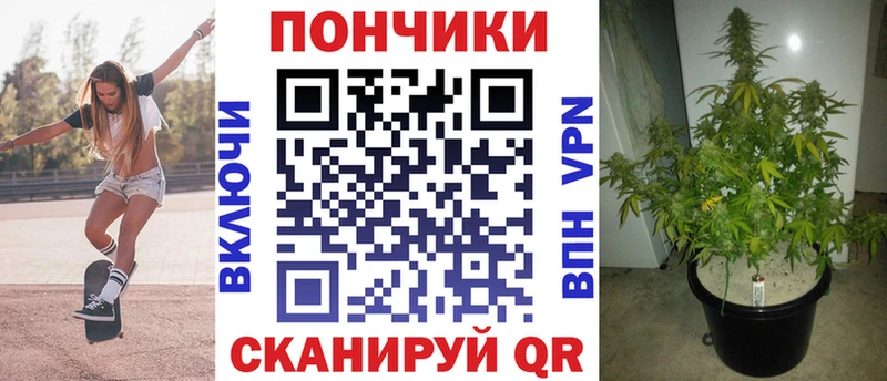 Бошки Шишки план  Славгород 