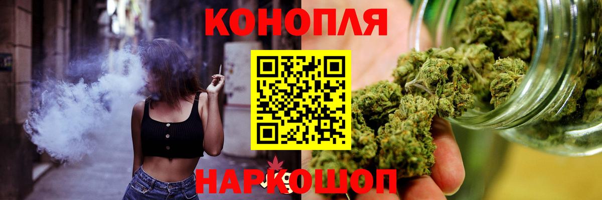 Каннабис планчик Славгород